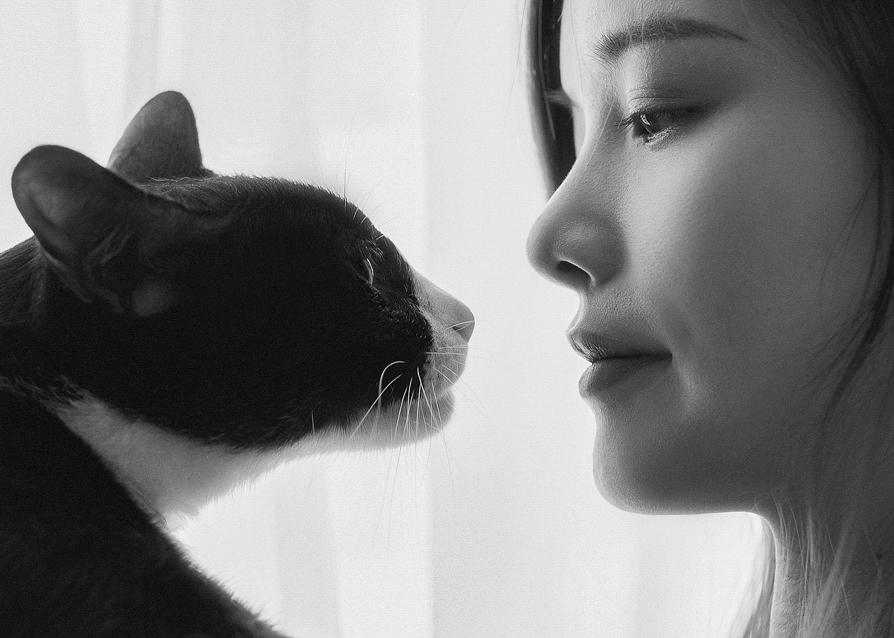 安娜和猫（图ZMjIwNTU1MzI4） - 人像摄影 - 站酷设计师月海沫原创素材 - 站酷ZCOOL