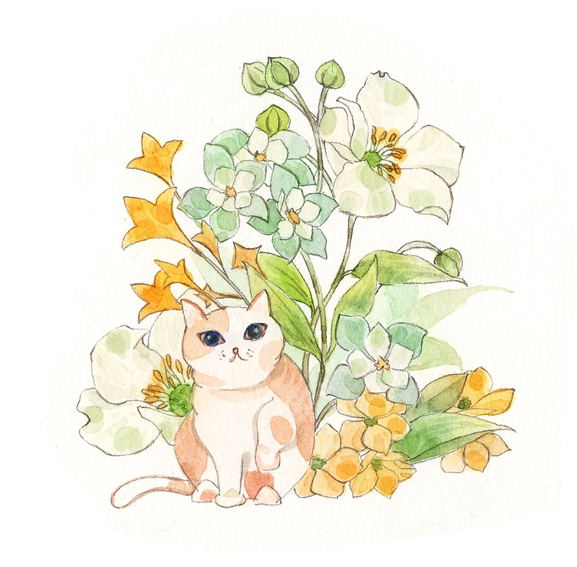 花与猫（水彩）（图ZMzIxNTU5NTY0） - 创作习作 - 站酷设计师洛洛水彩原创素材 - 站酷ZCOOL