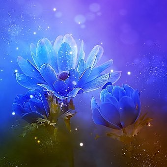 花（图ZMTI5MzE5MTk2） - 风光摄影 - 站酷设计师大海粉丝原创素材 - 站酷ZCOOL