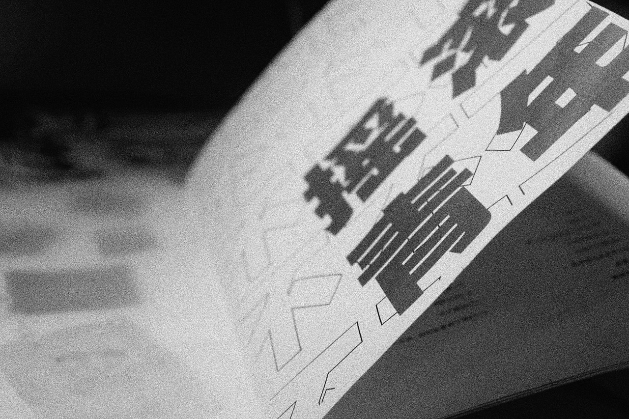 书籍设计 - 不/摇滚/青年