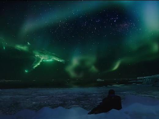 南极之恋预告（破冰）（个人主页-ZNDIyNjYzMjg=） - 影视后期 - 站酷设计师默金MJ原创素材 - 站酷ZCOOL