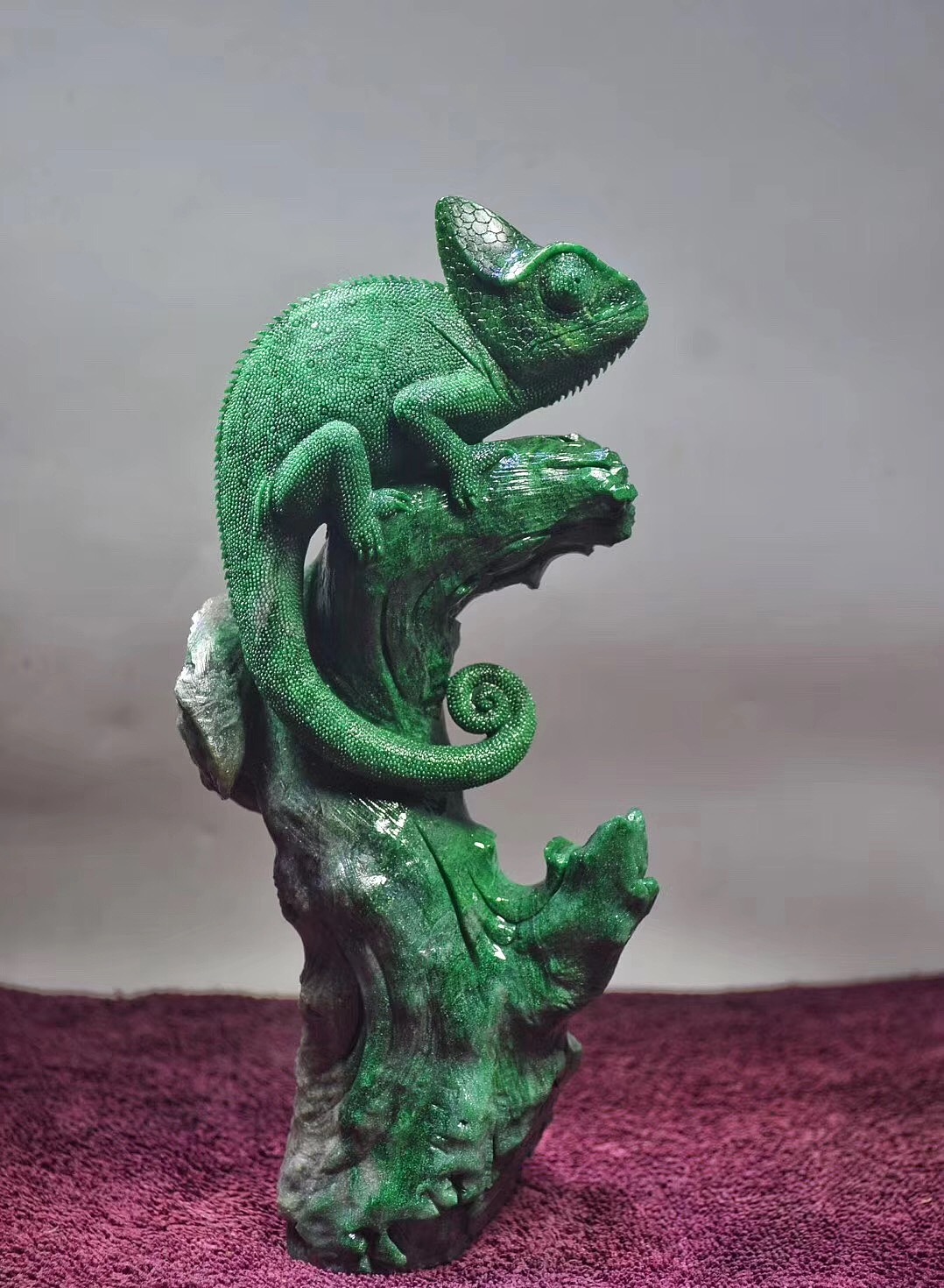 广绿玉高冠变色龙随手拍