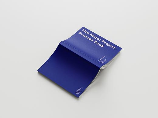 The Major Project Process Book
