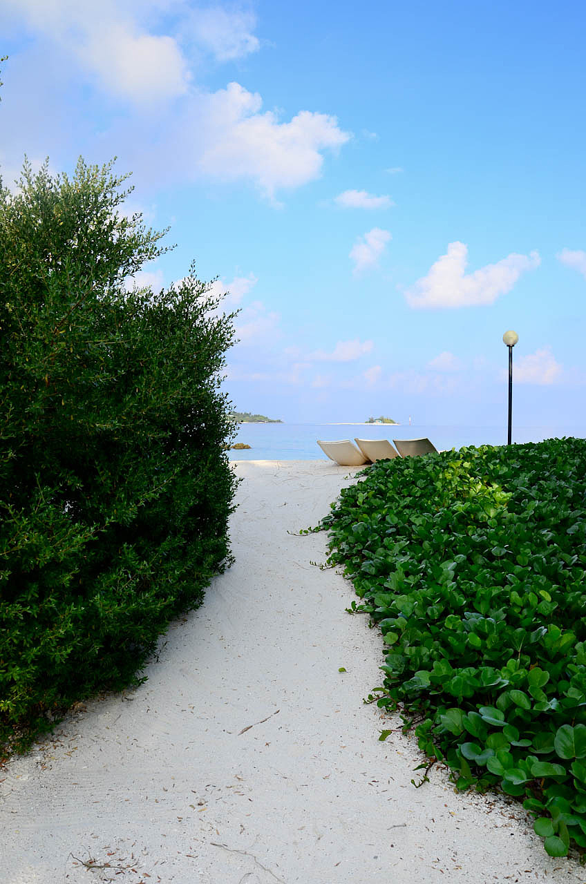 马尔代夫游记 - 梦幻岛 - 四晚六天（图ZNTM5NzgyNA==） - 风光摄影 - 站酷设计师blue_hermit原创素材 - 站酷ZCOOL