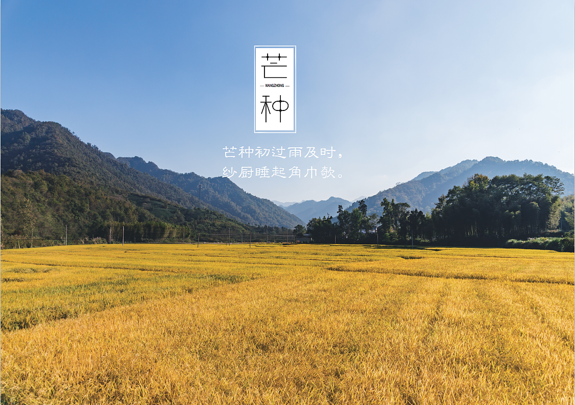 二十四节气字体海报