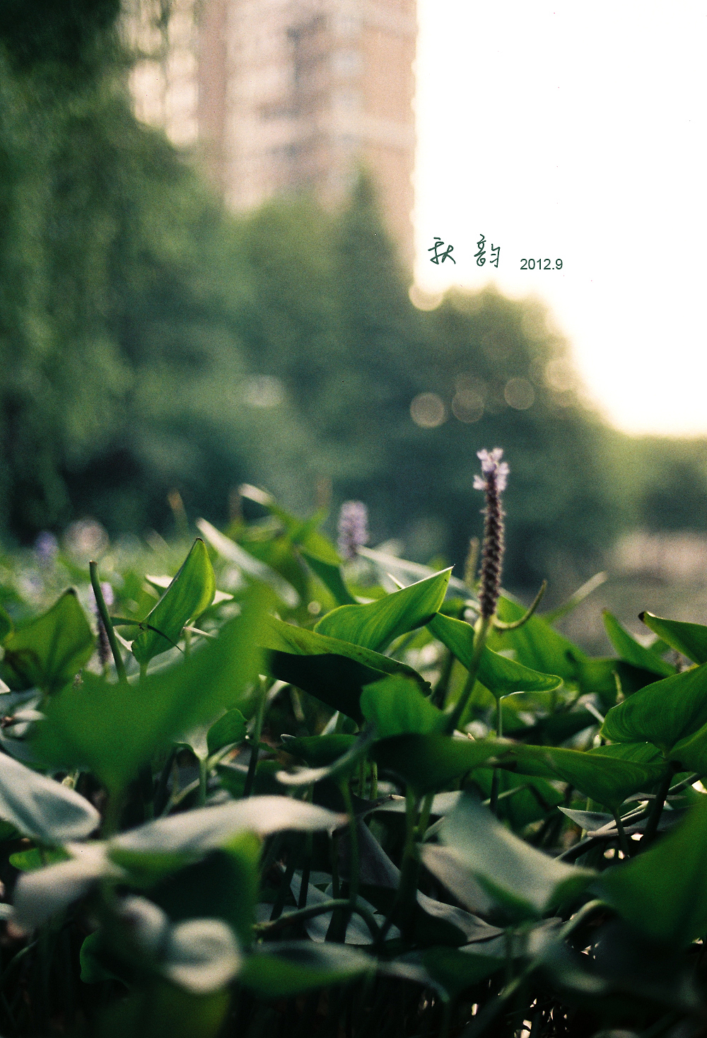 胶片时代（图ZMjAxNDcwNjg=） - 风光摄影 - 站酷设计师tiaofangzi原创素材 - 站酷ZCOOL