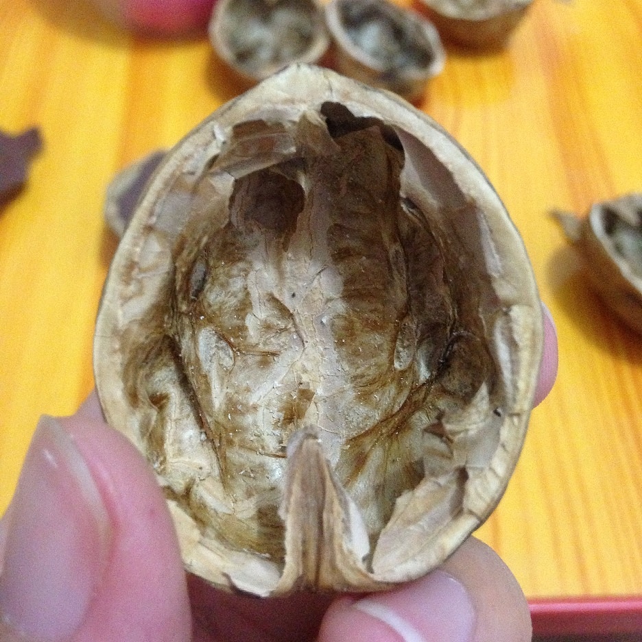 超轻粘土（图ZMTk1ODgzMTY=） - 其他手工艺 - 站酷设计师严聆原创素材 - 站酷ZCOOL
