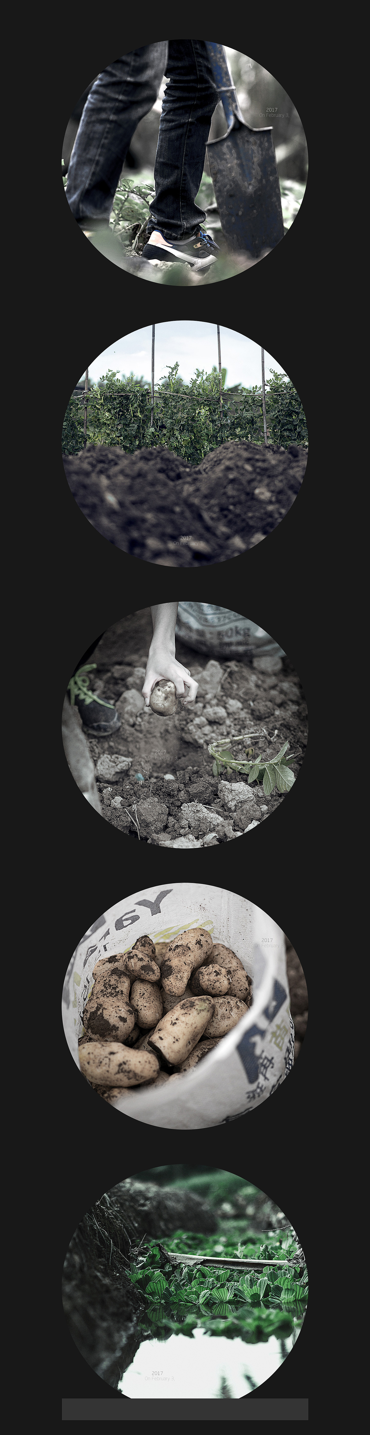 立春（图ZNjk0NjU3MjA=） - 风光摄影 - 站酷设计师HG设计者原创素材 - 站酷ZCOOL