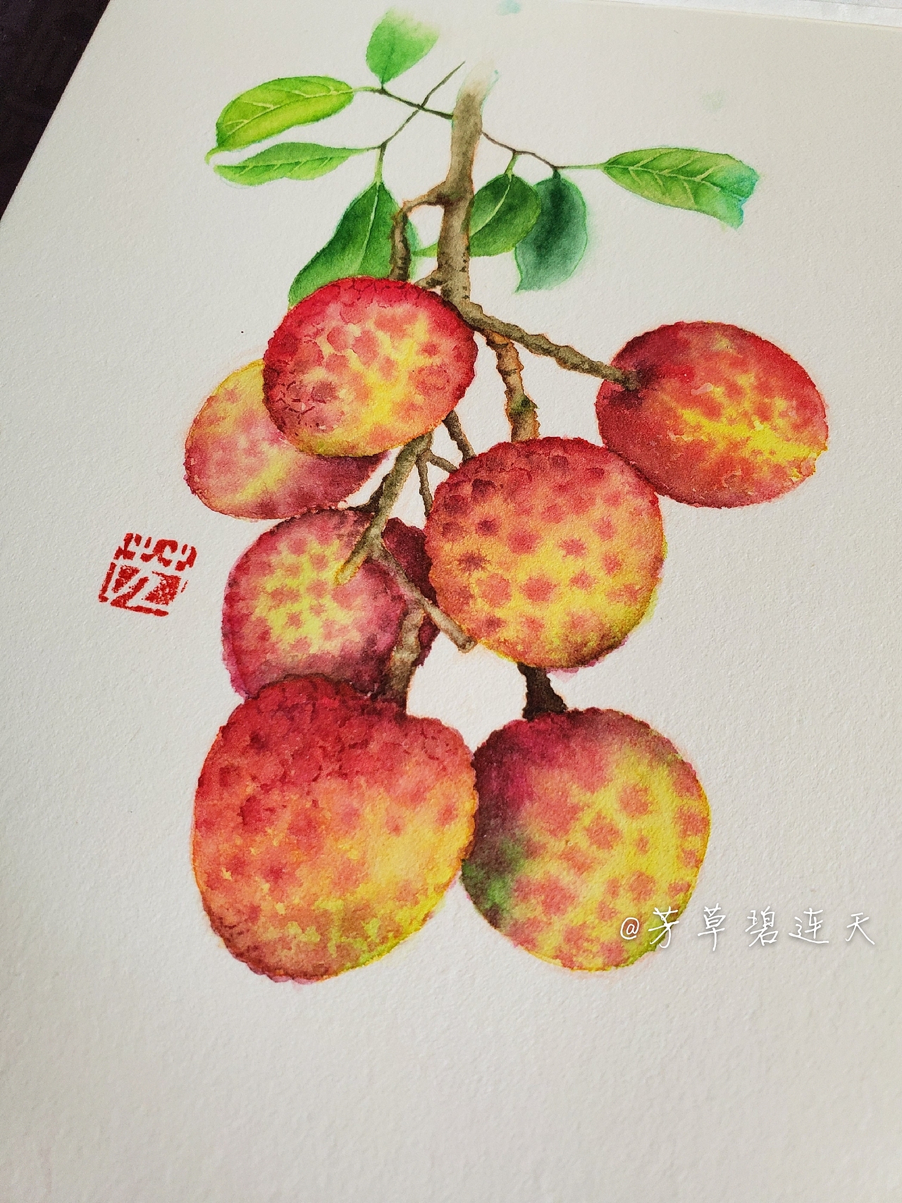 原創(chuàng)水彩水果荔枝步驟圖 芳草碧連天（圖ZMTk3OTYzODg0） - 繪畫 - 站酷設計師芳草碧連天水彩原創(chuàng)素材 - 站酷ZCOOL