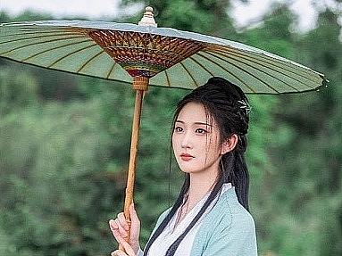 茶园漫步