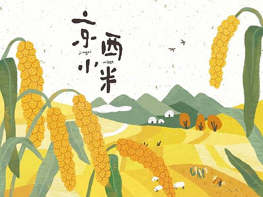 【商业插画】京西贡粮小米包装插画设计