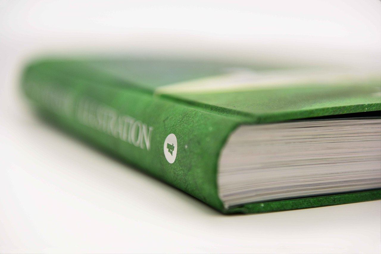 FANTASTIC ILLUSTRATION 4