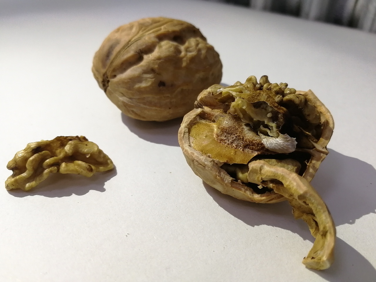 精微素描（图ZOTIxMzE1MjA=） - 绘画 - 站酷设计师田瑞峰原创素材 - 站酷ZCOOL