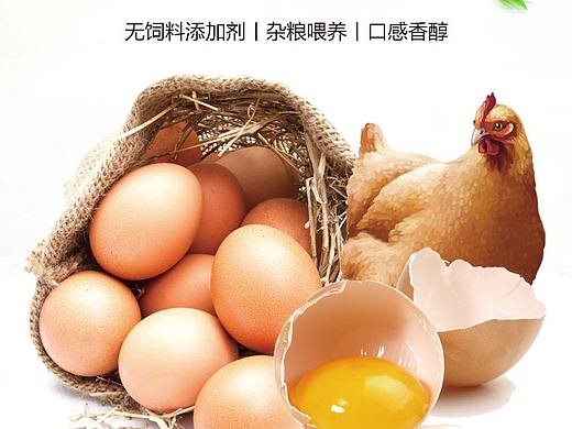 详情页-鸡蛋