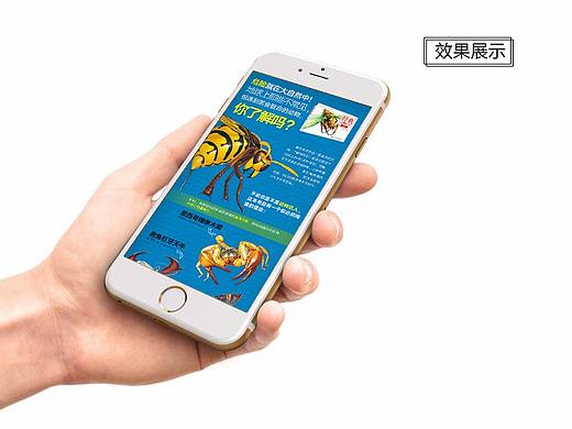 网页设计打包