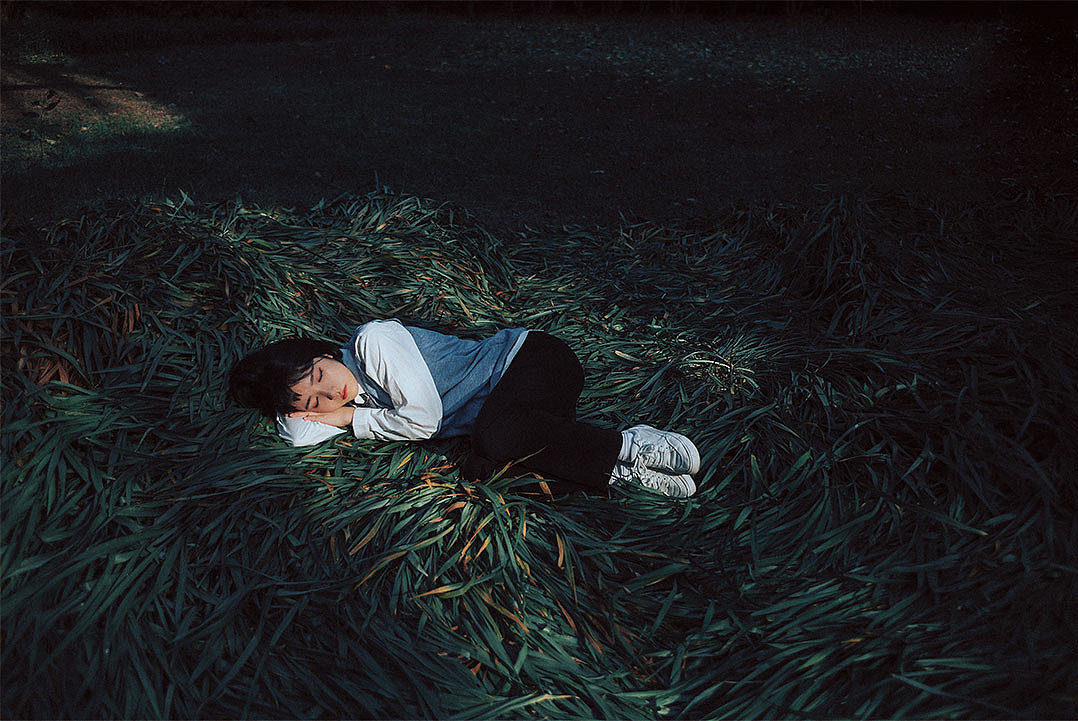 这个夏天也过去了