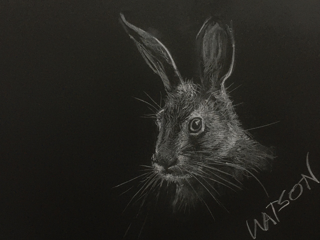 黑板粉笔画12生肖