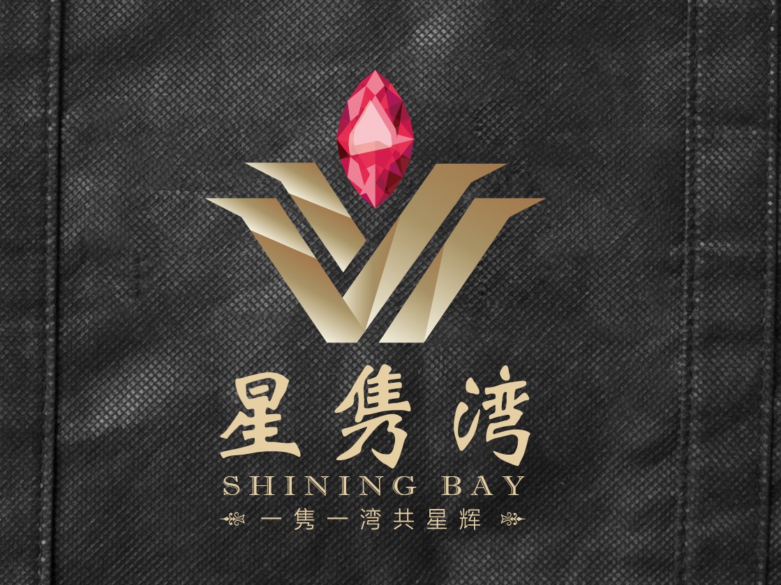 房地产商业竞标企划部分VI（星耀弯-2套）