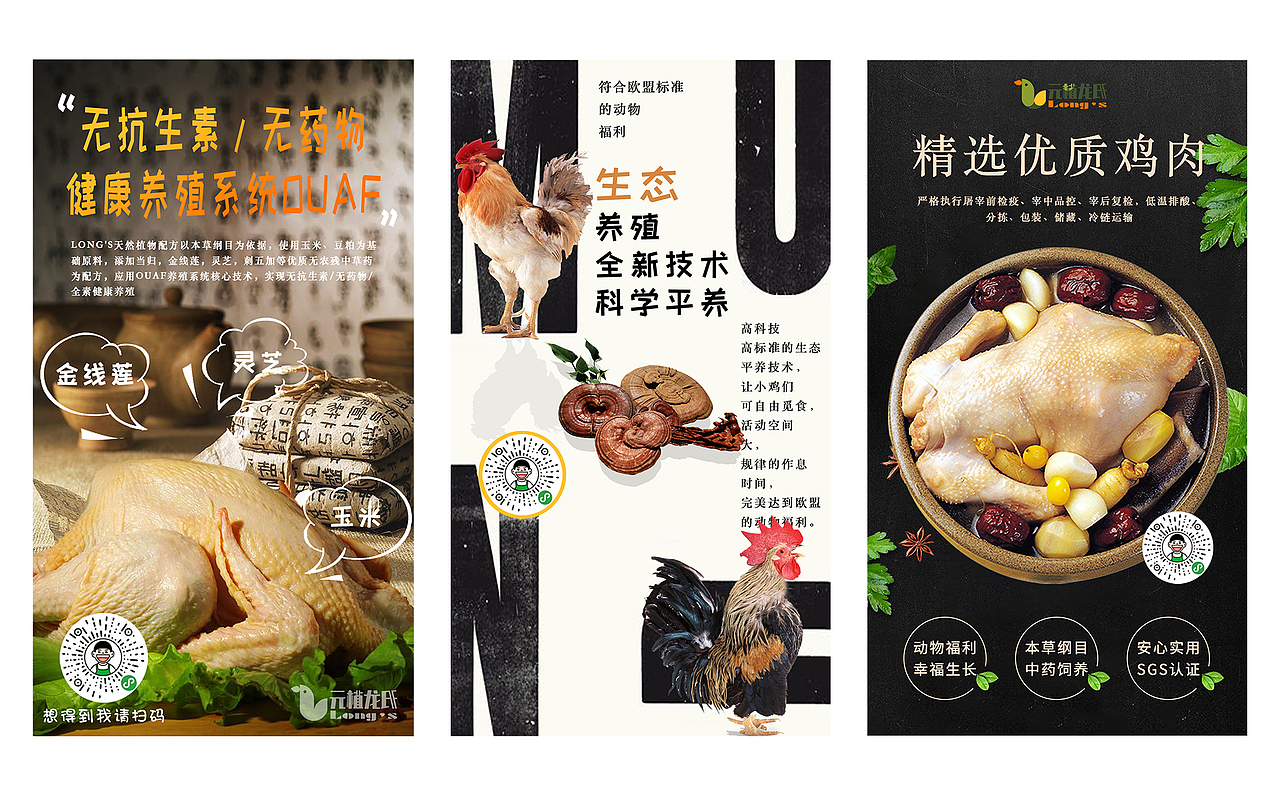 元植龙氏项目（图ZMjEzNzM2NDc2） - 品牌 - 站酷设计师设计师小小二儿原创素材 - 站酷ZCOOL