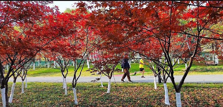 公园（图ZMzI2NDEwNTky） - 风光摄影 - 站酷设计师心静福深原创素材 - 站酷ZCOOL