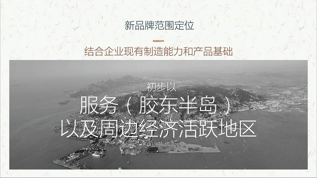 2019山东xx集团新产品研发分析提案策划PPT
