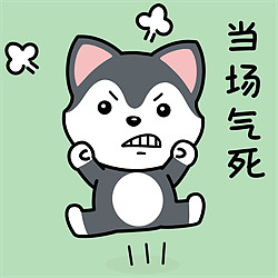 小狗旺财|插画|商业插画|一个不重复的名12 - 原创