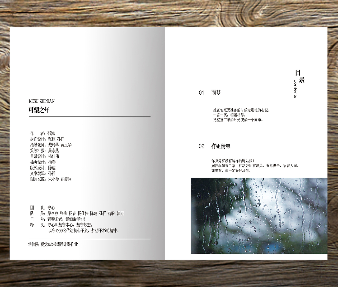 《可塑之年》书籍设计