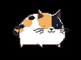 小猫咪~