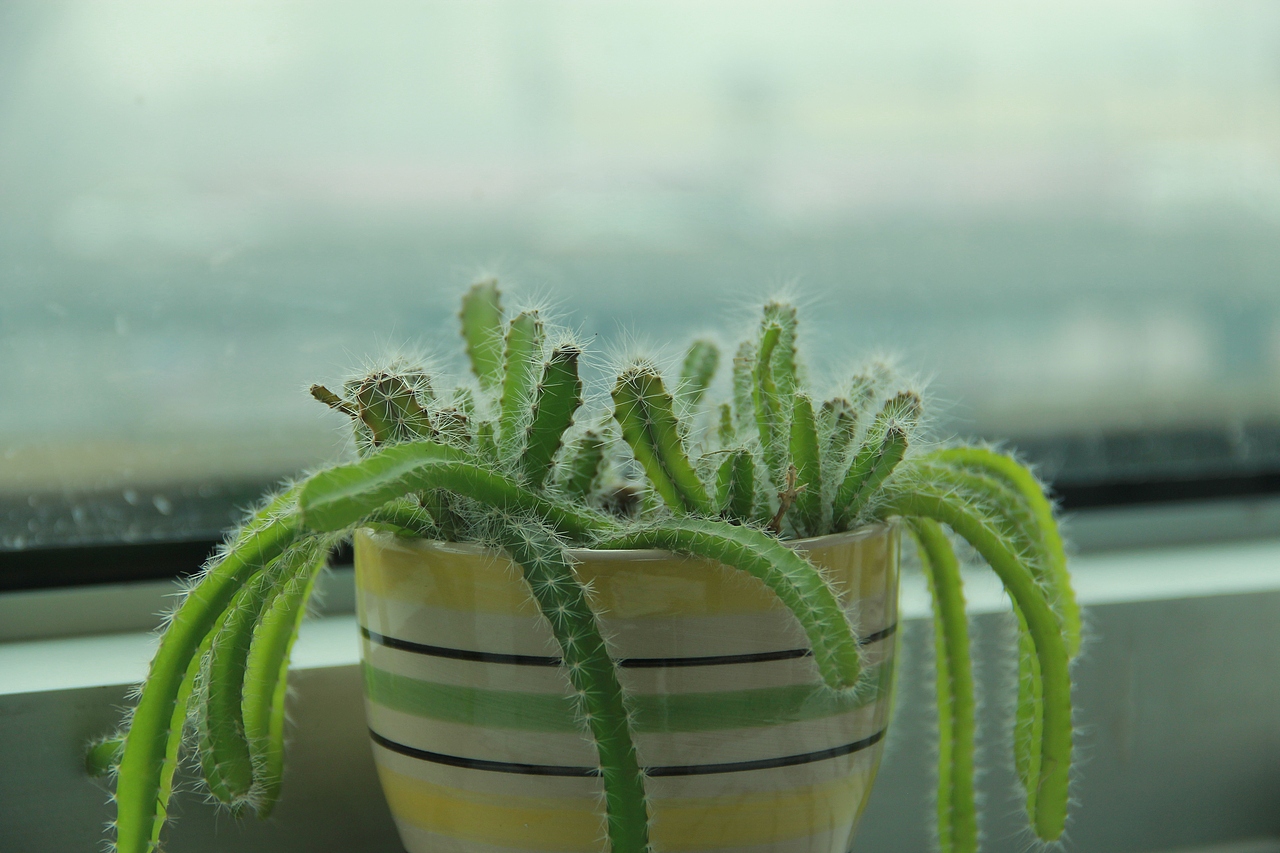 電腦桌面（圖ZNDQ0MzMxNTY=） - 產(chǎn)品攝影 - 站酷設(shè)計師山山而川上的麥子原創(chuàng)素材 - 站酷ZCOOL