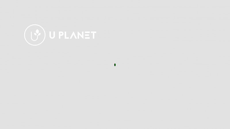 《U PLANET》现代生活空间绿植-品牌设计及品牌体验（图ZMjc3NjY2NjQ=） - 品牌 - 站酷设计师你好大海品牌设计原创素材 - 站酷ZCOOL