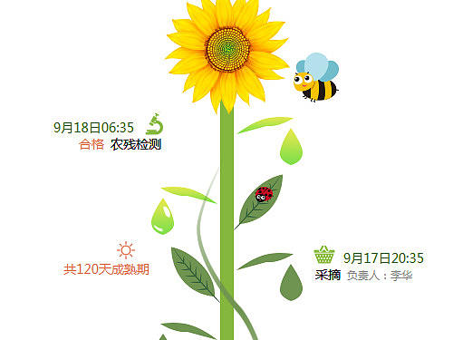 流程图