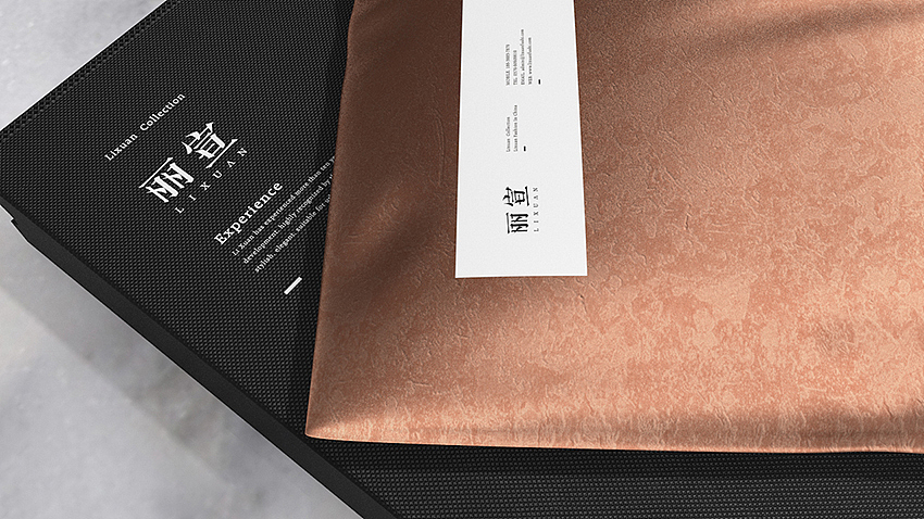 《丽宣》服装品牌设计