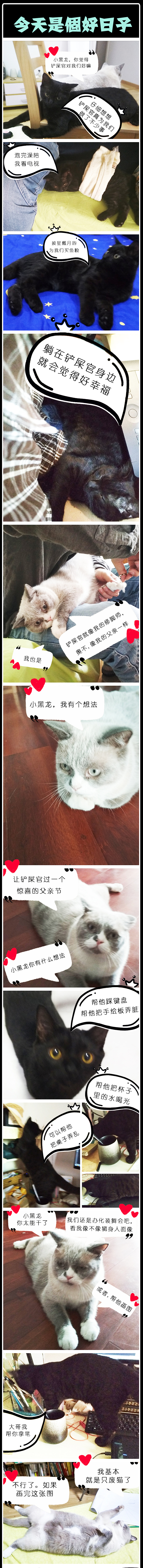 《猫咪通话》父亲节