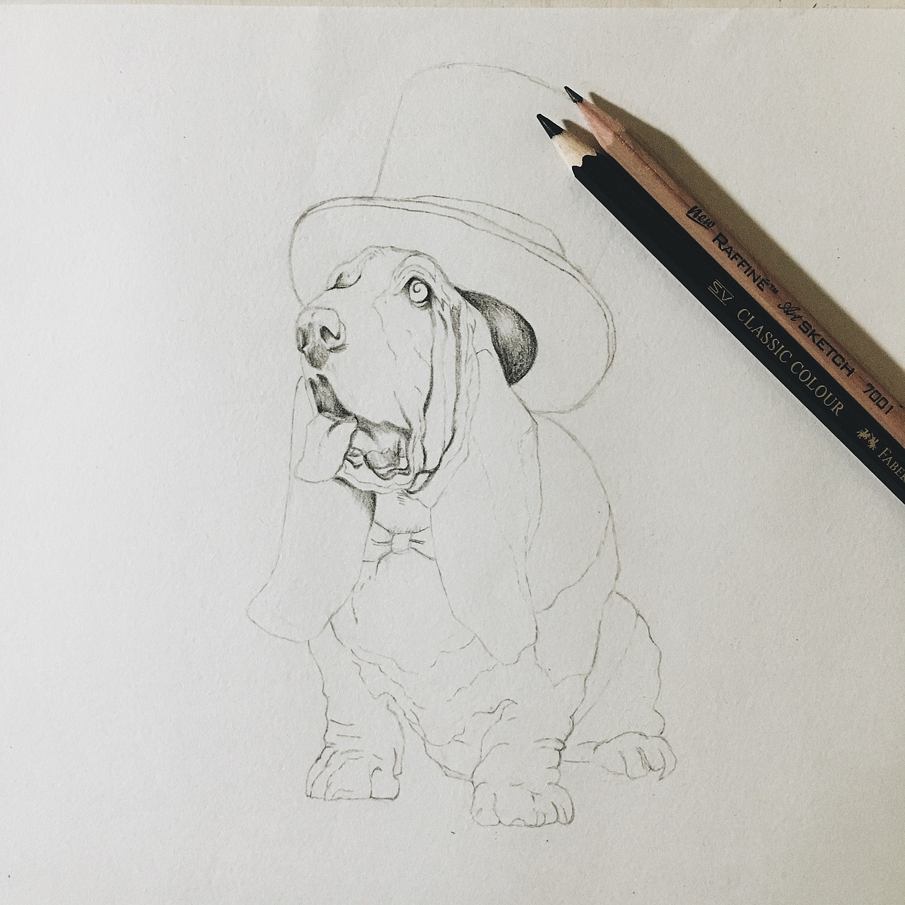 彩铅练习 | 巴吉度犬