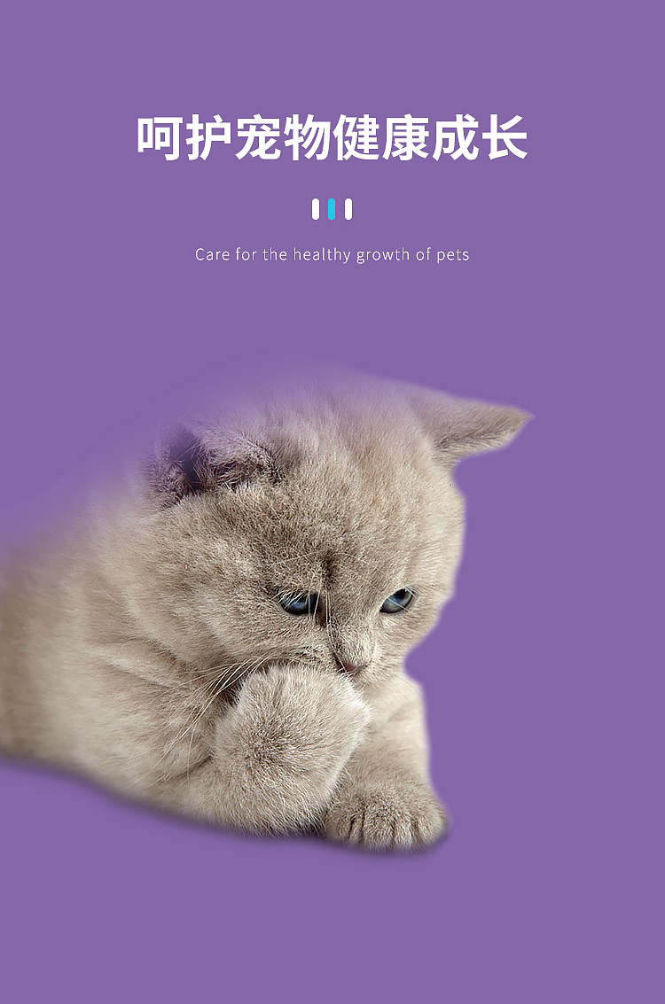 宠物保健品详情页