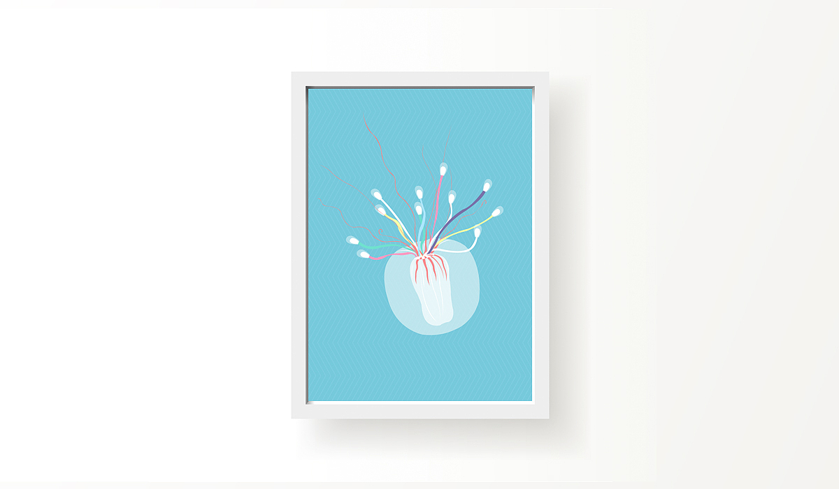 快乐精灵 — 水母（图ZOTc0OTE4MTI=） - 创作习作 - 站酷设计师知果日记原创素材 - 站酷ZCOOL