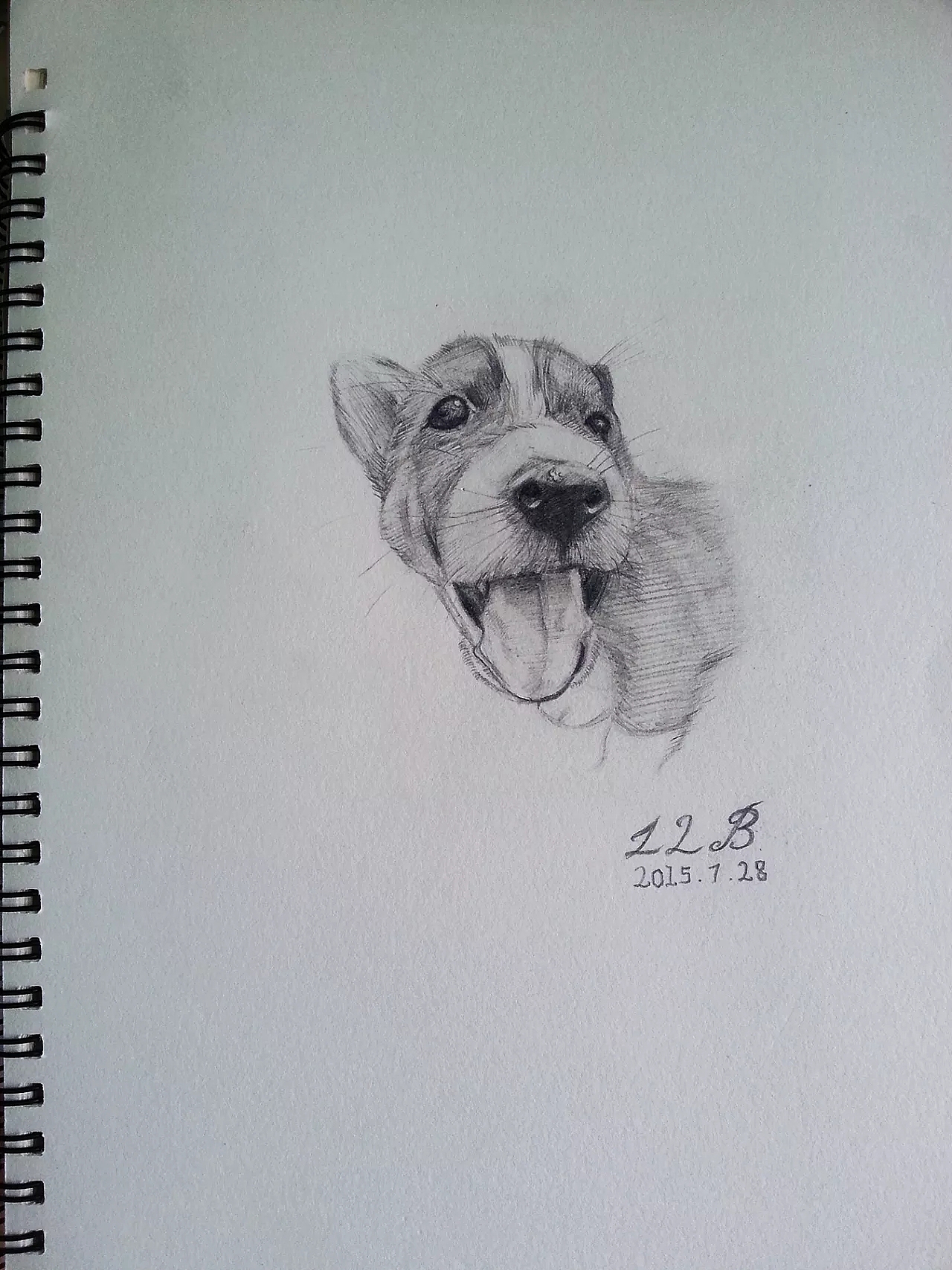 素描/手绘/部分展示