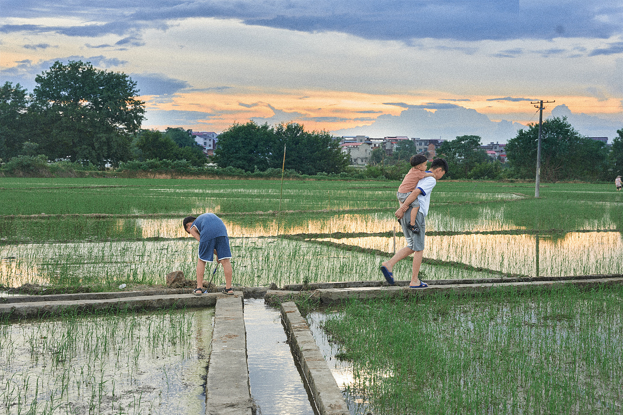 端午假期篇 三 稻田旁的小水渠