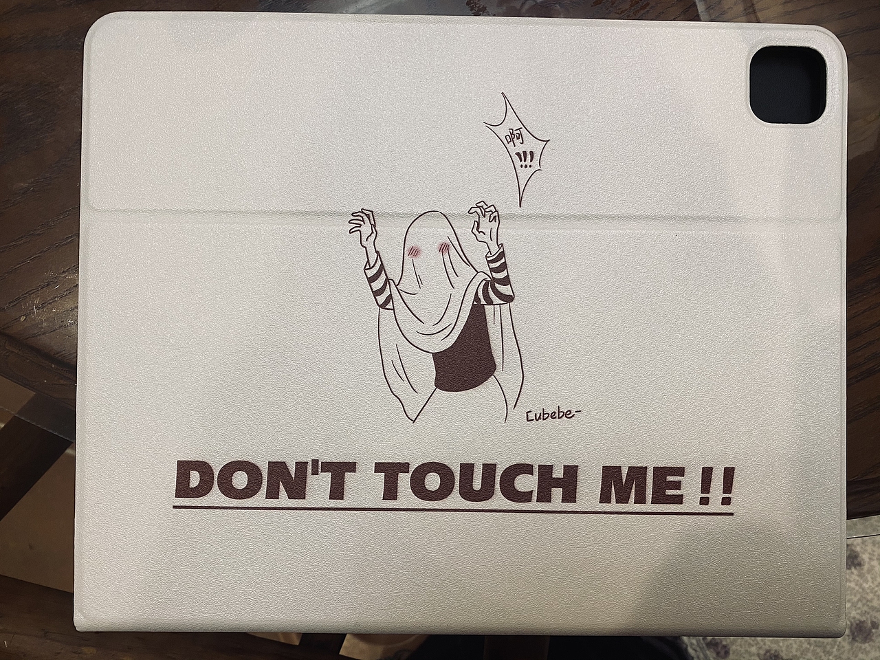 ipad pro 原创插画壳子