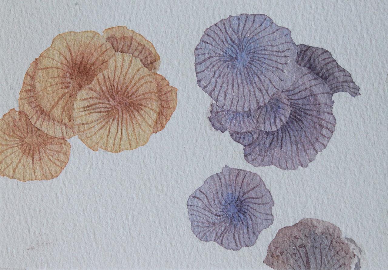 插画小品（图ZMjMwMzI1NjQ4） - 商业插画 - 站酷设计师蓝天下的小松鼠原创素材 - 站酷ZCOOL