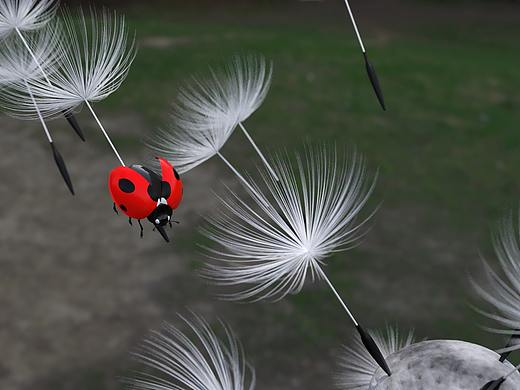 瓢虫,蒲公英!