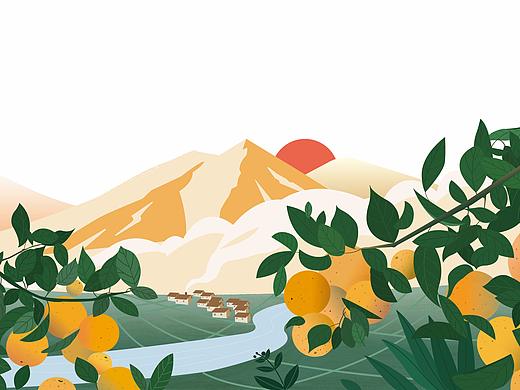 柑橘类大众化水果包装插画