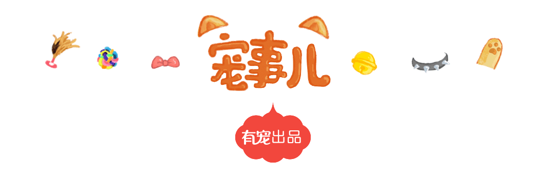 公众号二维码动效设计