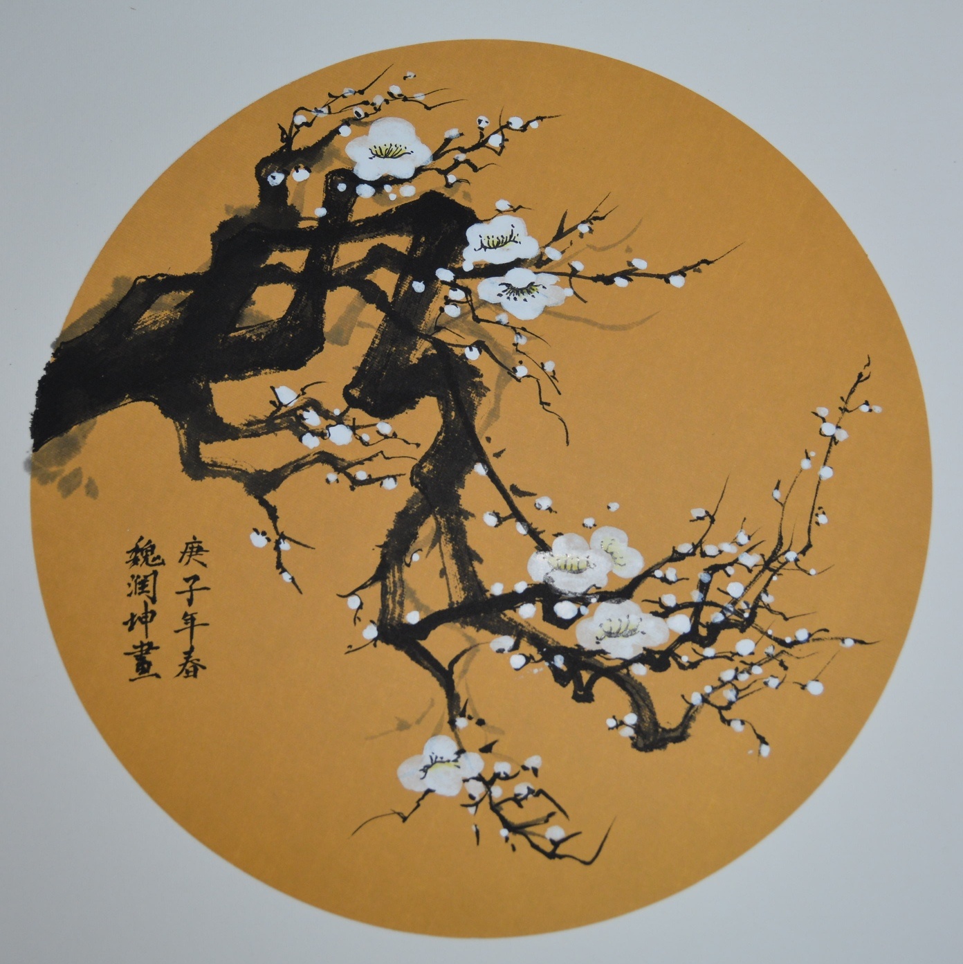 小画随笔——白花贰