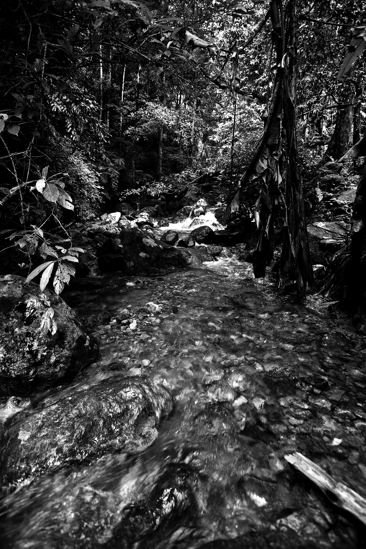 海南五指山_铁攻科技站酷ZCOOL