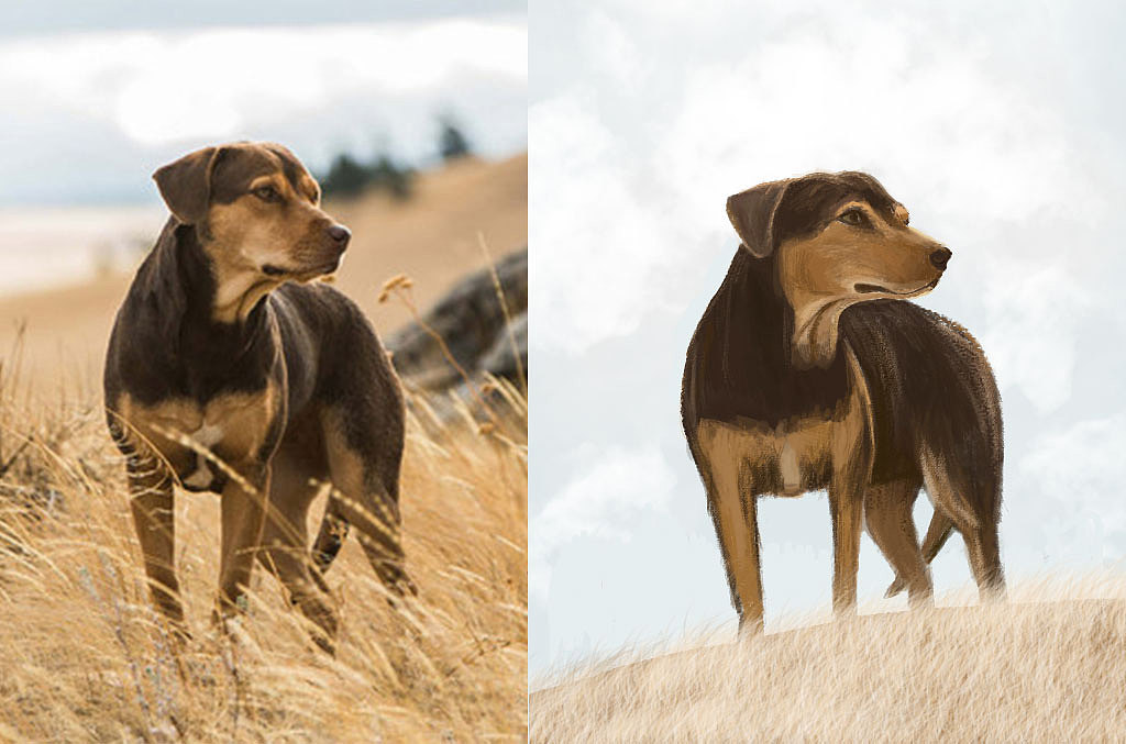 手绘/合成海报集合（图ZMTUxNzc3ODI0） - 电商 - 站酷设计师木鱼籽原创素材 - 站酷ZCOOL