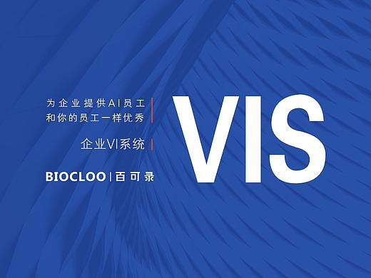 百可录品牌形象视觉识别系统