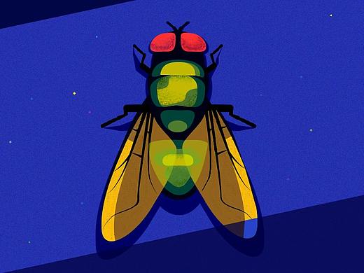 昆虫临摹练习,来自dribbble某位大神的作品