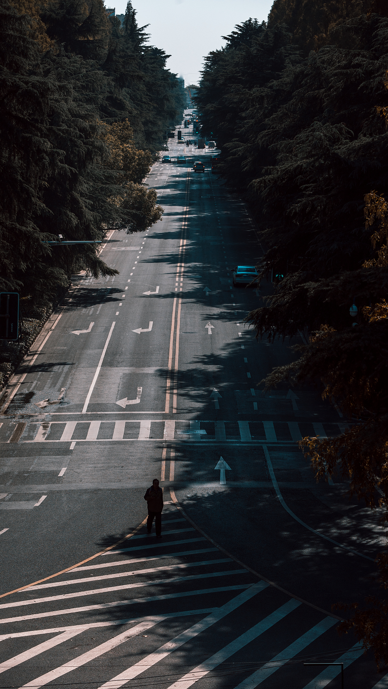 南京 南京（图ZMjMxMjY5NjMy） - 人文/纪实摄影 - 站酷设计师拾光朝圣者原创素材 - 站酷ZCOOL