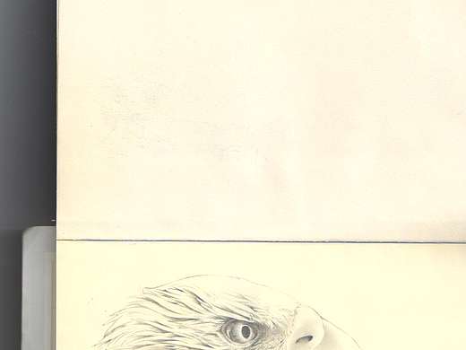 继续画···继续画···